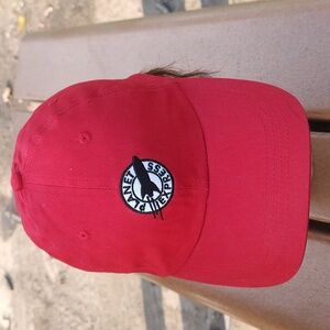 Men's Baseball Cap Planet Futurama Express Embroidered Cotton Adjustable Washed